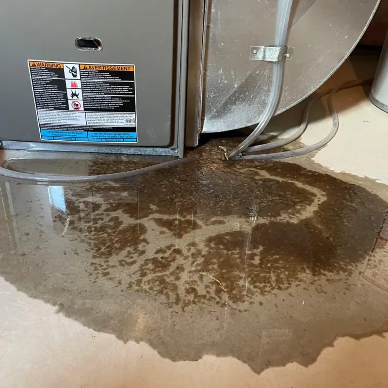 Appliance Leak Cleanup in Clearfield, PA